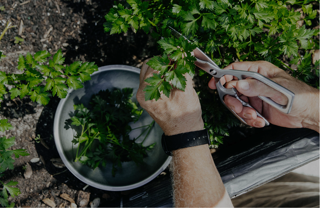 Corporate Executive Retreat Package